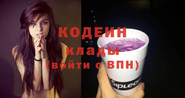 ECSTASY Струнино