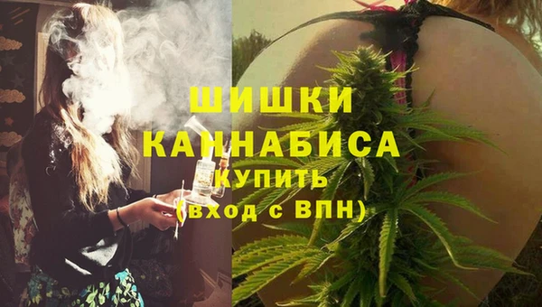 крисы Баксан