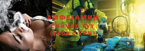 крисы Баксан