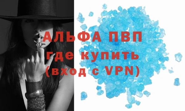крисы Баксан