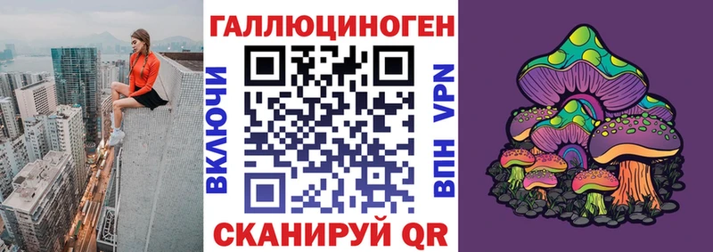 Псилоцибиновые грибы Psilocybe  где купить наркотик  Городовиковск 